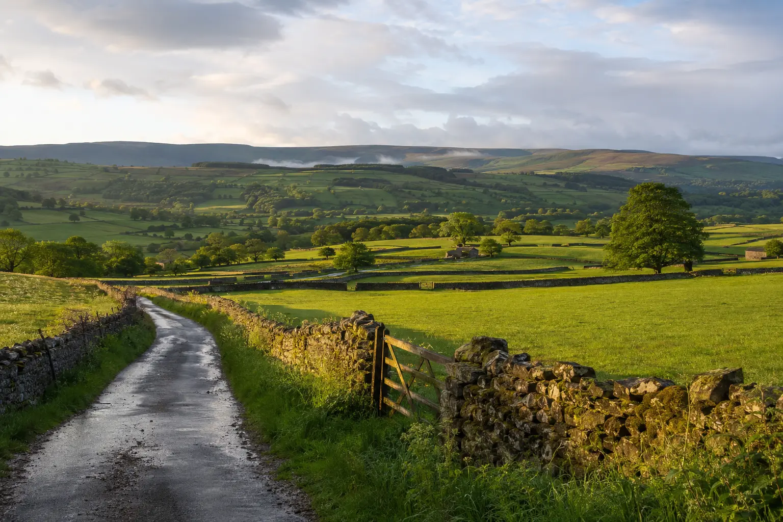 A quiet lane crossing green North Yorkshire fields divided by dry-stone walls